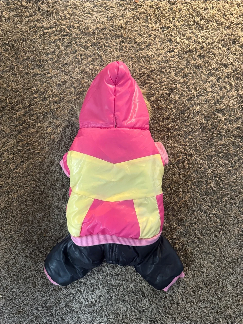 Dog snowsuit